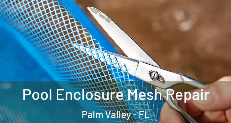  Pool Enclosure Mesh Repair Palm Valley - FL