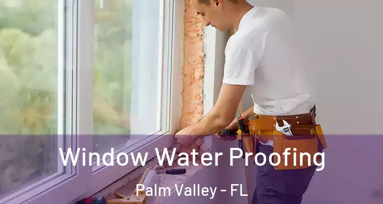  Window Water Proofing Palm Valley - FL